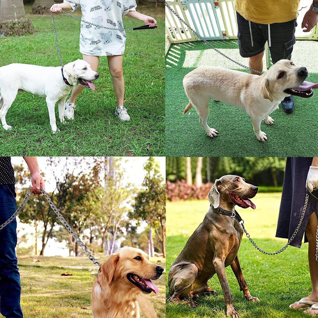 Heavy Duty Chew Proof Metal Leash For Pets