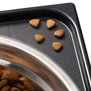 Pet Elevated Feeding Bowl Anti-Tumble Neck Protection Medium Large