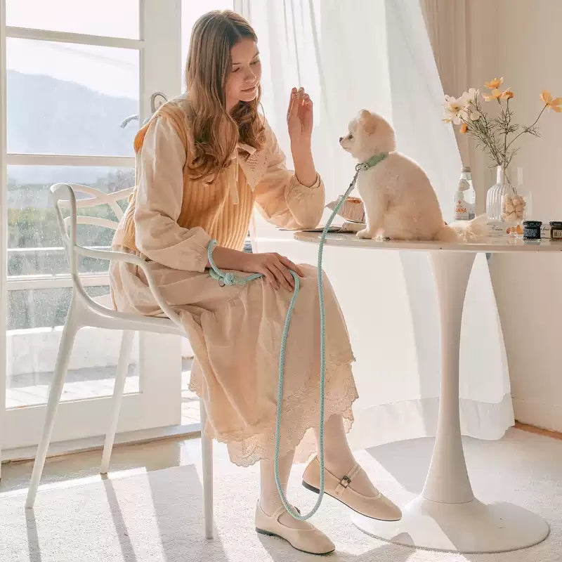 Leather Handheld Collar And Leash For Pets