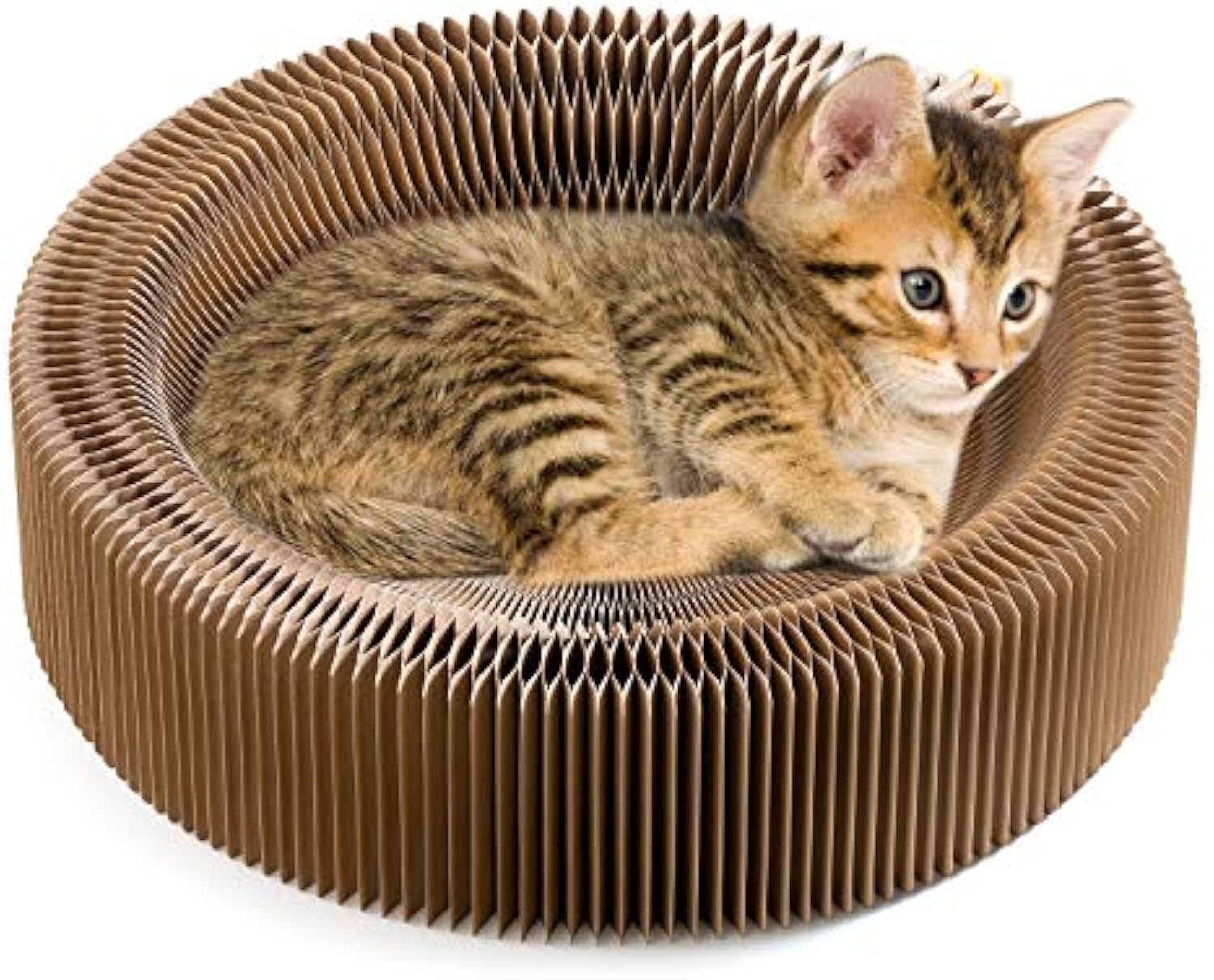 Collapsible Round Pet Scratcher Bed Cardboard Lounge Nest