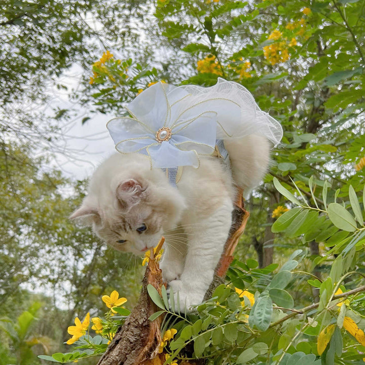 Multi-Layer Yarn Leash For Pets