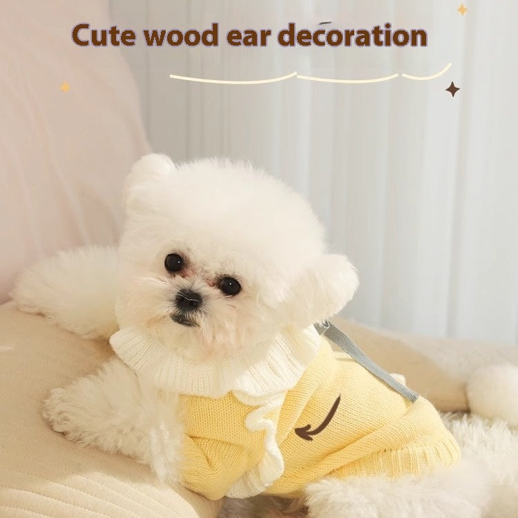 Autumn Pet Sweater For Warmth And Comfort