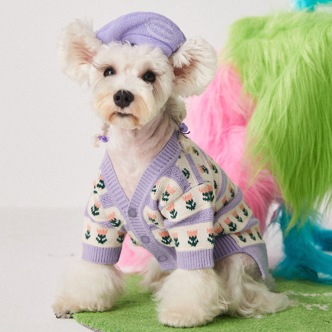 Purple Flower Pet Sweater Cardigan For Style And Warmth