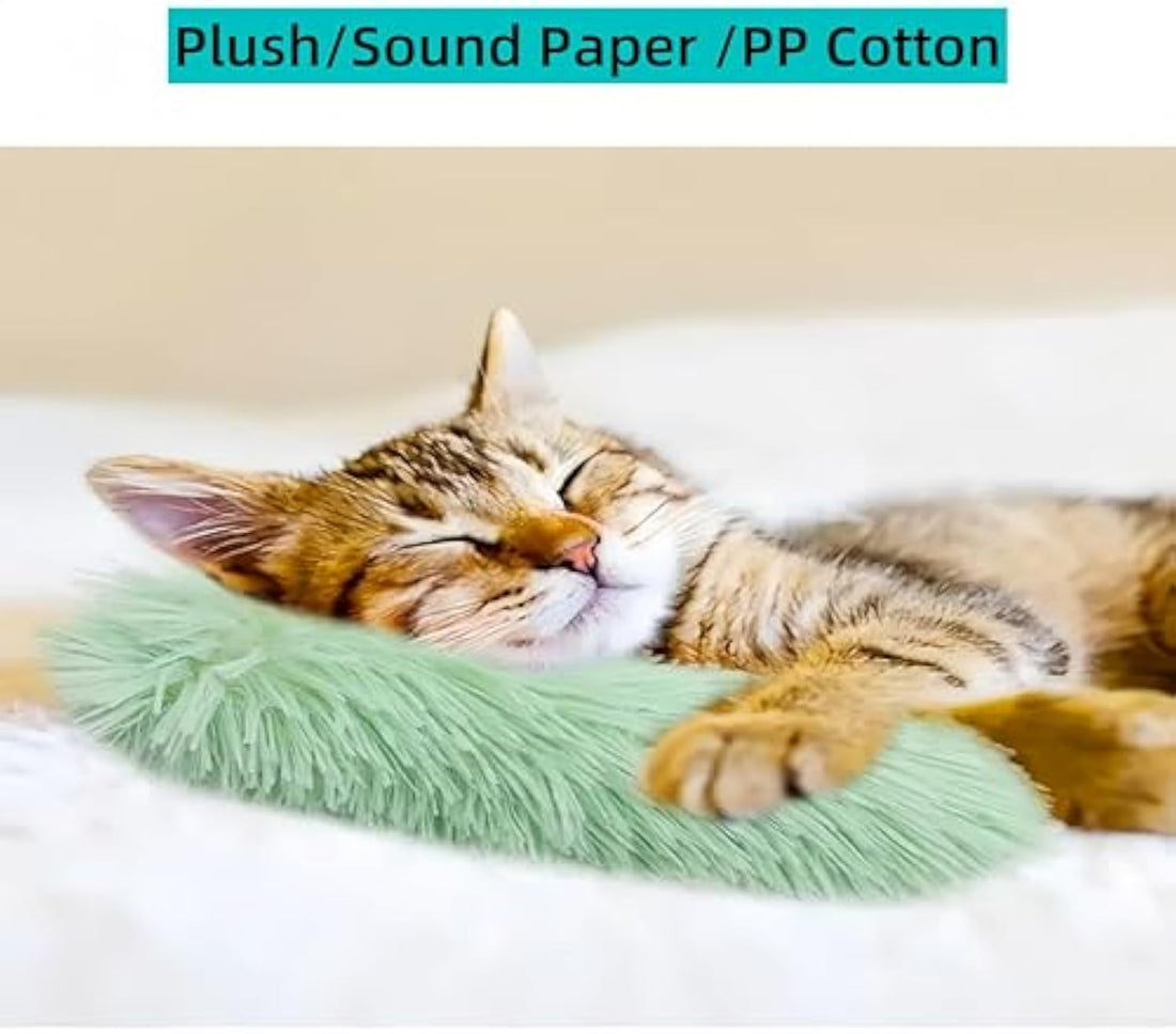 Interactive Pet Toy Pillow With Crinkle Sound And Catnip