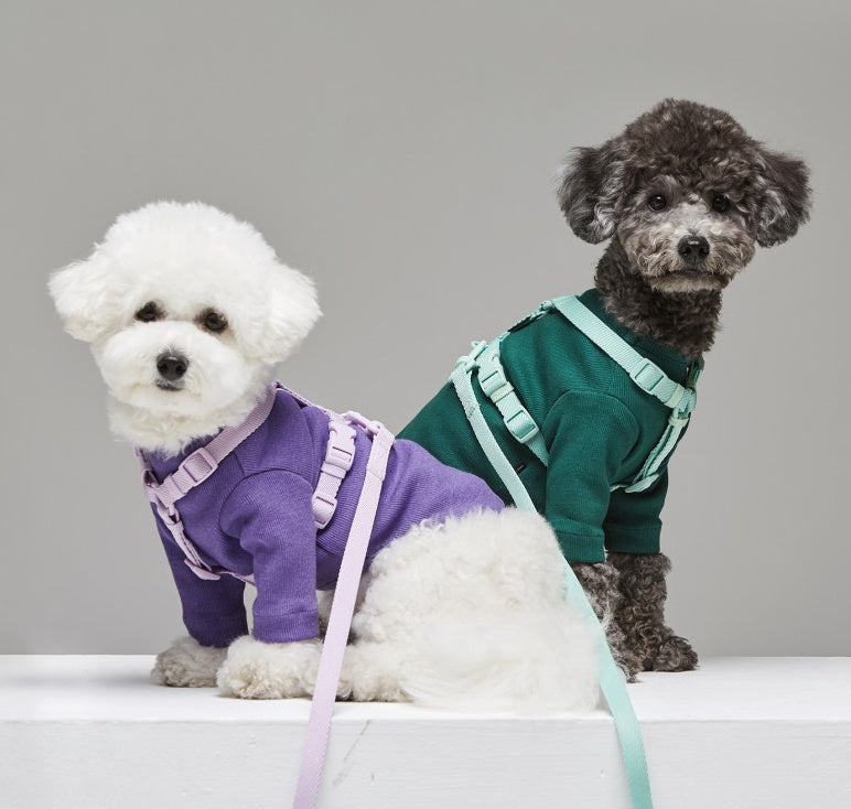 Macaron Ins Wind Leash For Pets