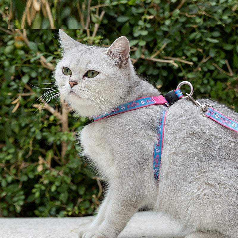 Bell Chest Strap Harness With Leash For Pets