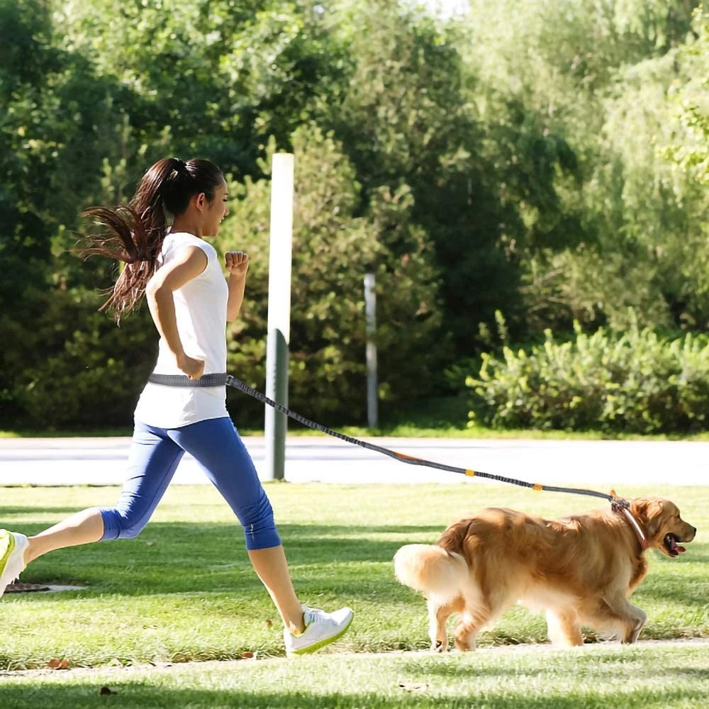 Adjustable Jogging Harness With Leash For Pets