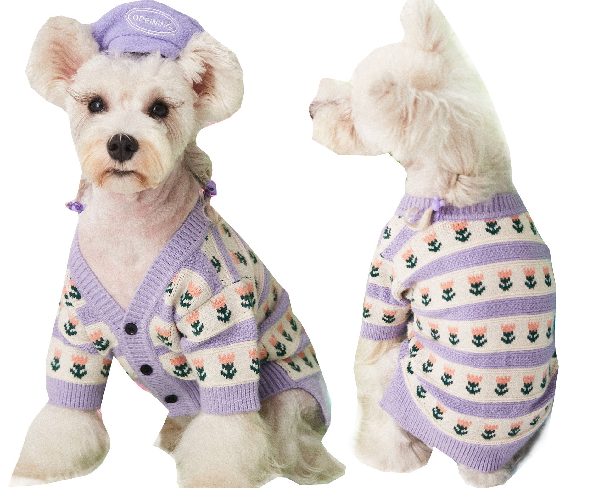 Purple Flower Pet Sweater Cardigan For Style And Warmth