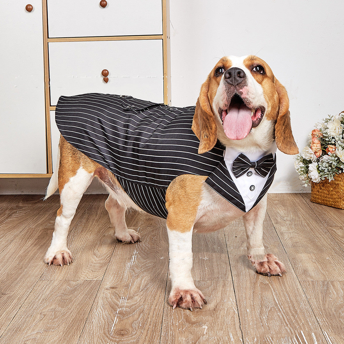 Swallowtail Wedding Suit Jacket For Pets