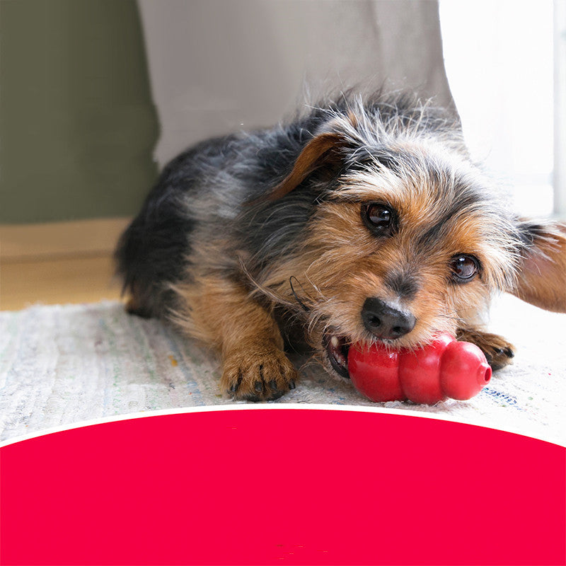 Durable Pet Chew And Teeth Grinding Rubber Toy