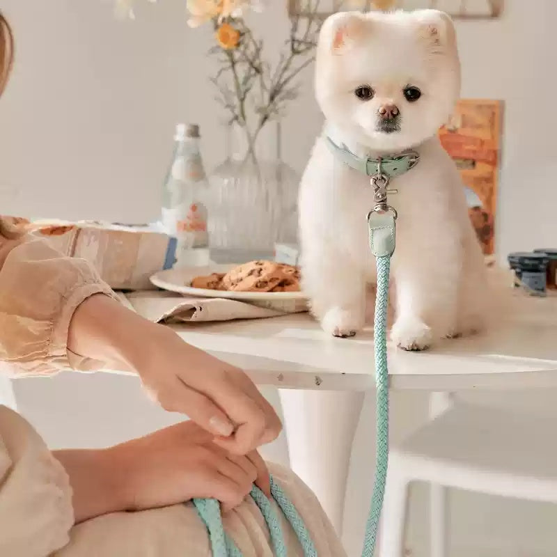 Leather Handheld Collar And Leash For Pets