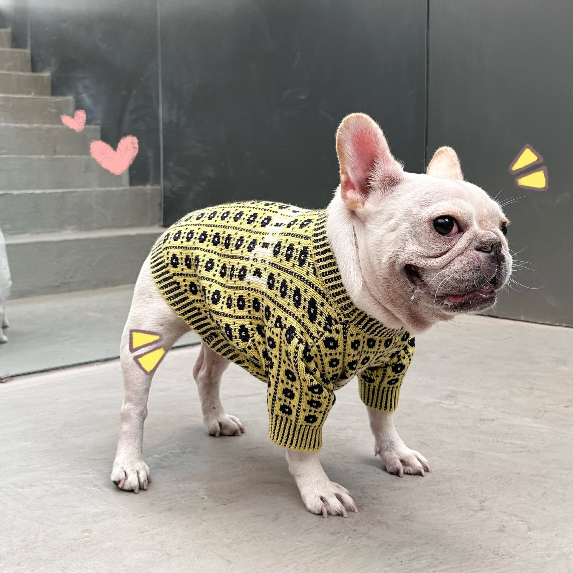 Pet Winter Sweater For Warmth And Comfort
