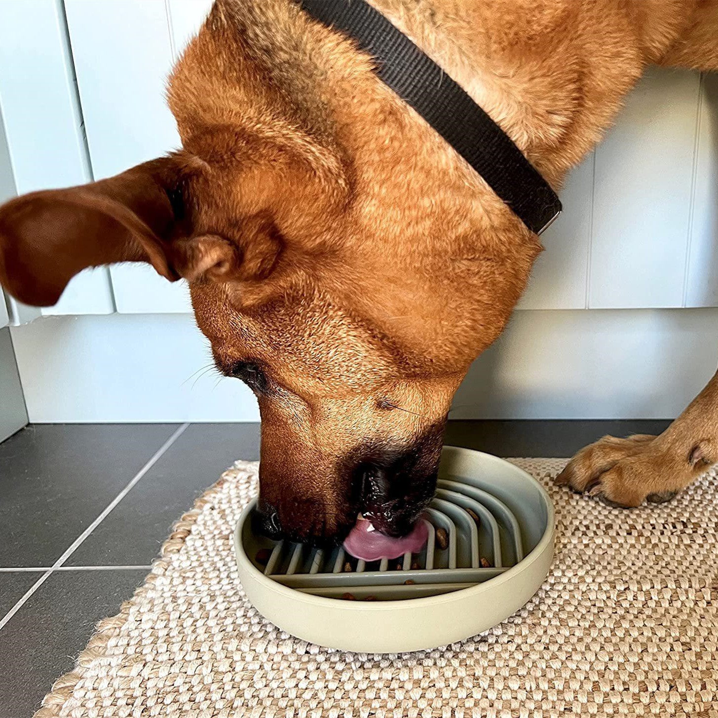 Pet Slow Feeding Bowl Stylish Multi-Purpose Tableware