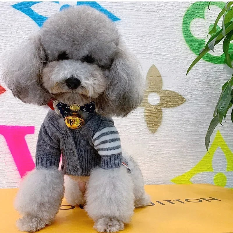 Pet Cardigan Sweater For Comfort And Warmth