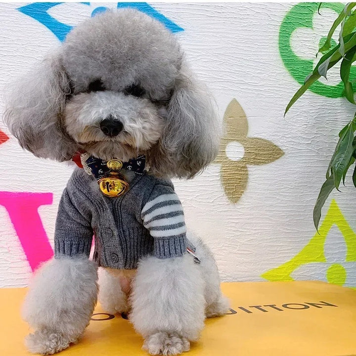 Pet Cardigan Sweater For Comfort And Warmth