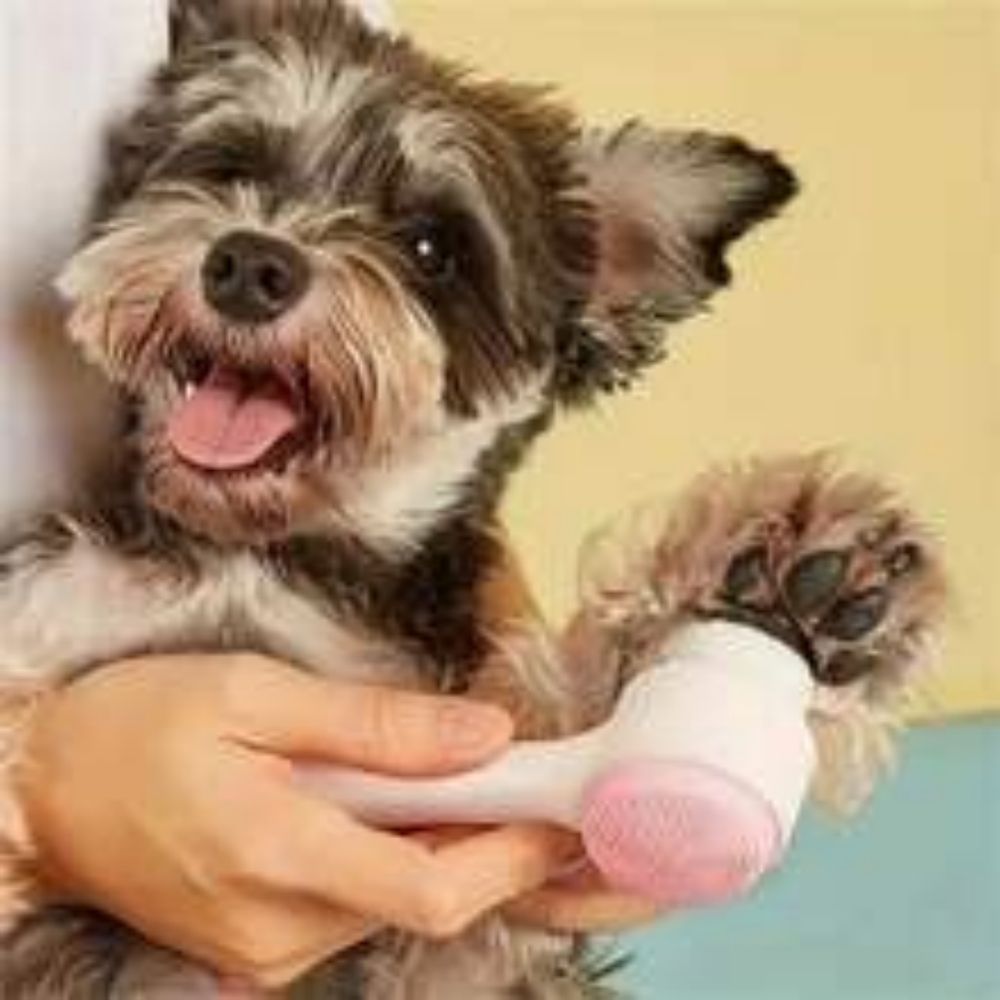 Nylon Pet Paw Brush Gentle Grooming Massage Tool