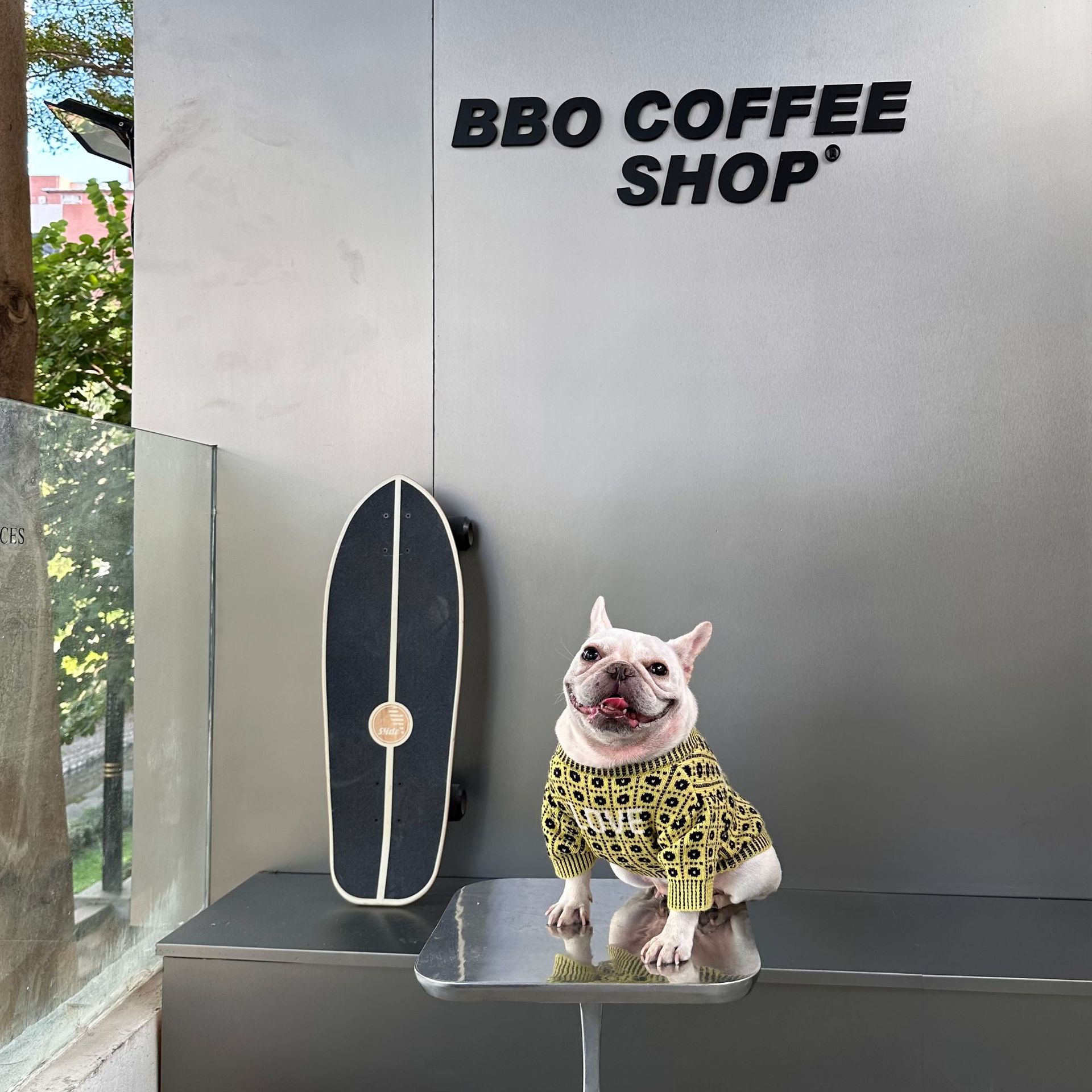 Pet Winter Sweater For Warmth And Comfort