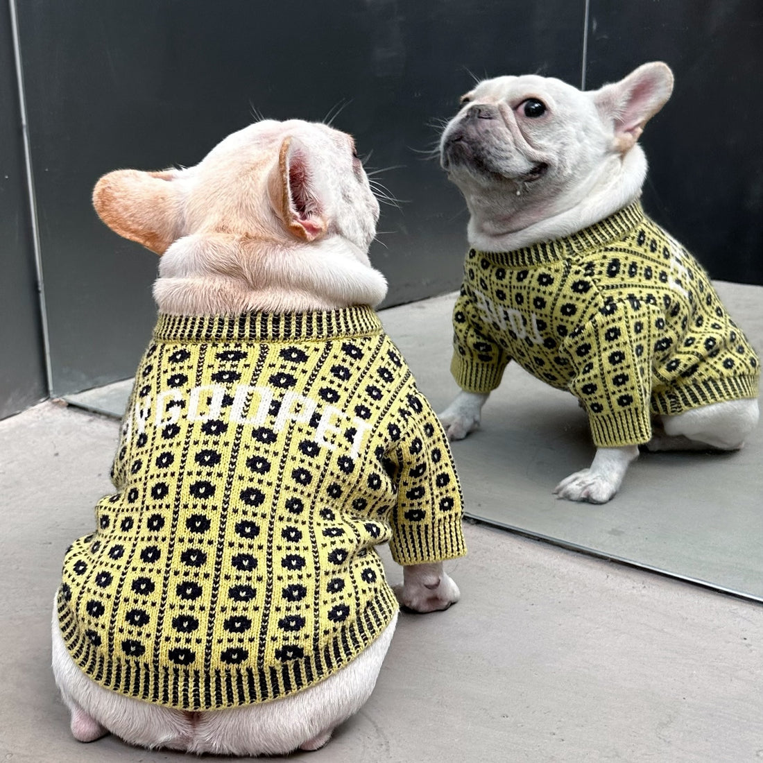 Pet Winter Sweater For Warmth And Comfort