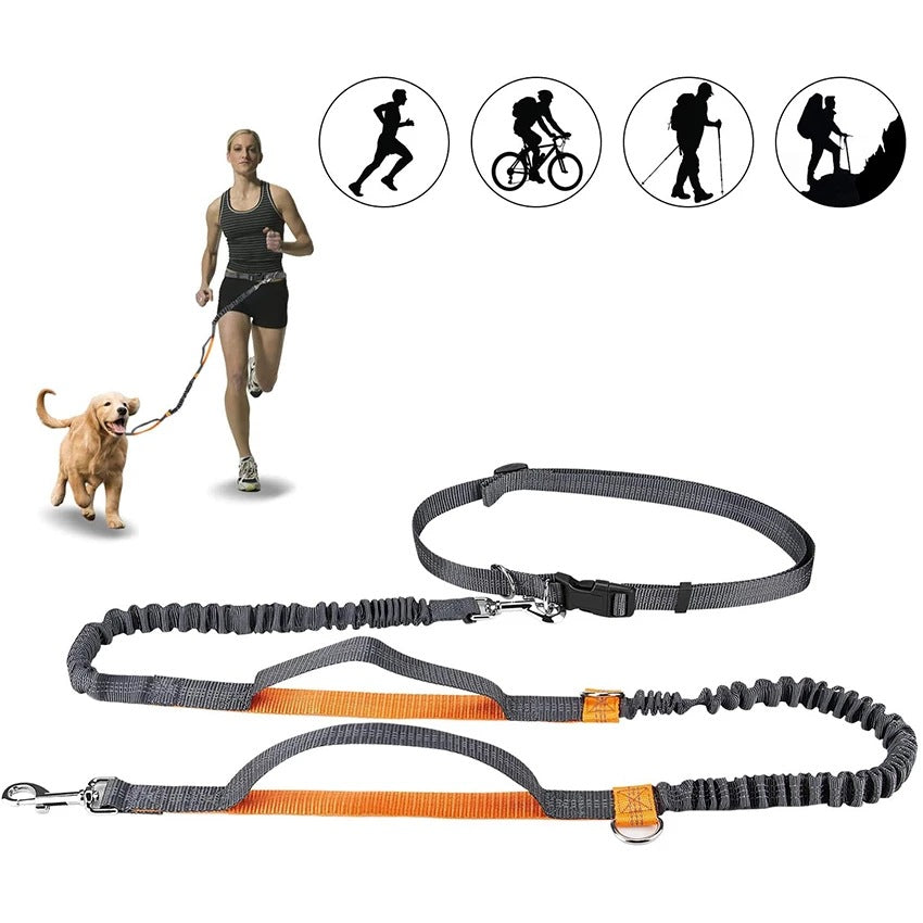 Adjustable Jogging Harness With Leash For Pets