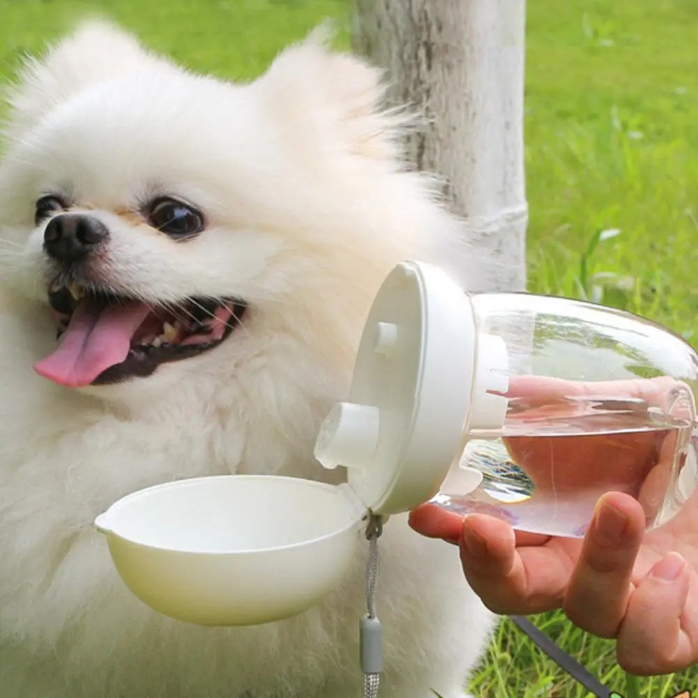Portable Pet Water Bottle With Bowl And Lanyard For Travel