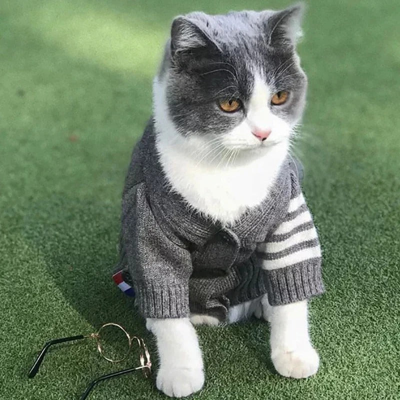 Pet Cardigan Sweater For Comfort And Warmth