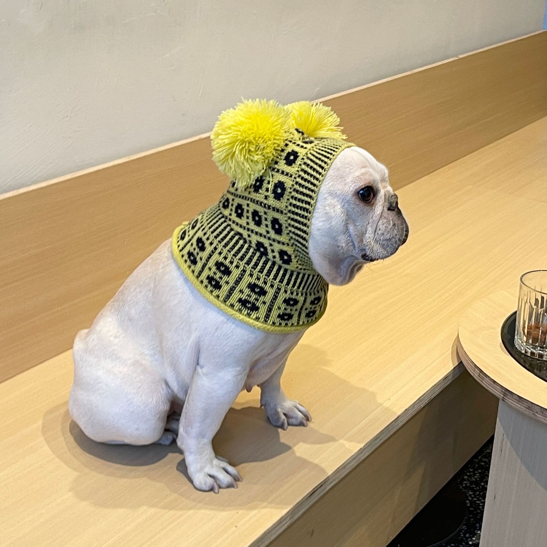 Pet Winter Sweater For Warmth And Comfort