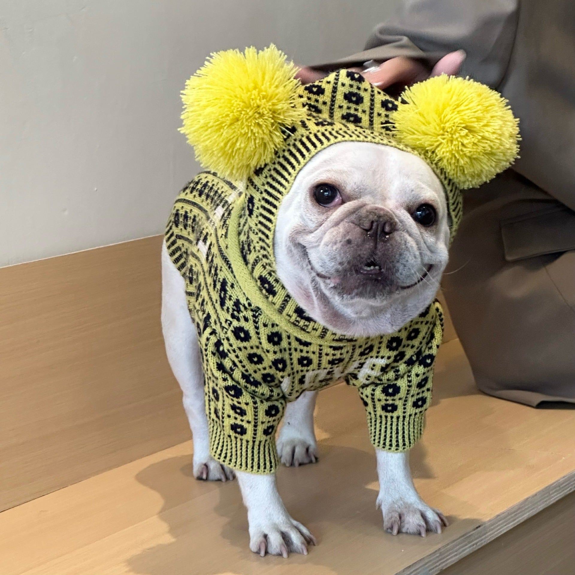 Pet Winter Sweater For Warmth And Comfort