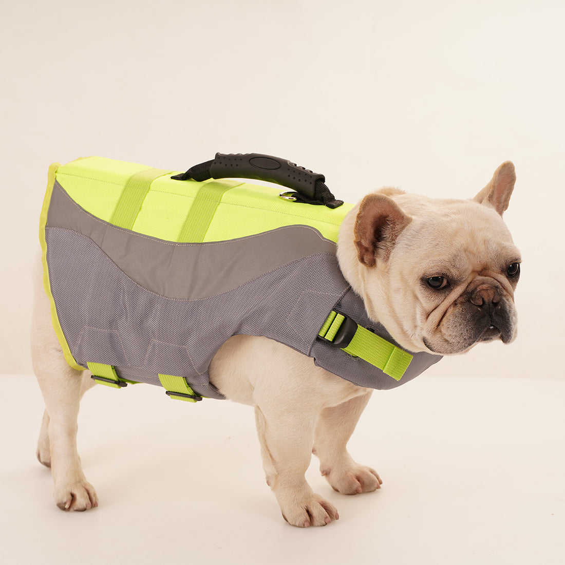 Reflective Swimsuit Life Jacket For Pets