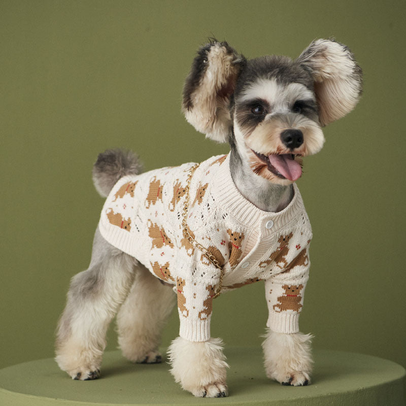 VIP Cute Jacket For Pets