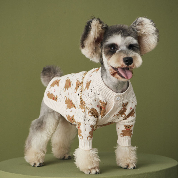 VIP Cute Jacket For Pets