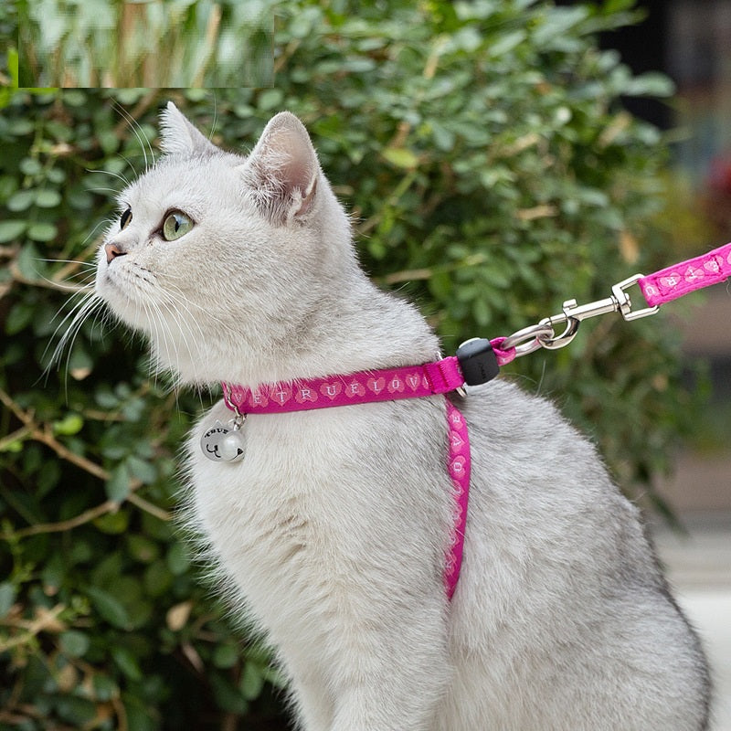 Bell Chest Strap Harness With Leash For Pets